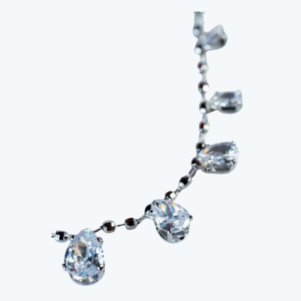 C1009 - Image 2