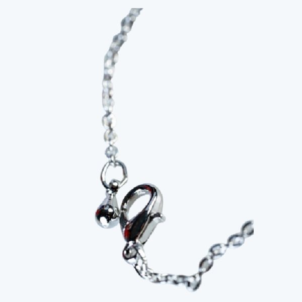 C1009 - Image 3
